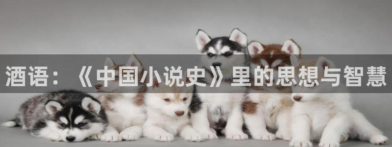 哪个软件可以免费看起点小说：酒语：《中国小说史》里的思想与智慧