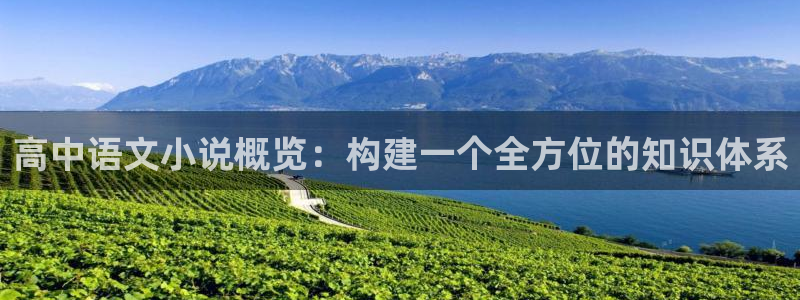 起点下载的小说存在哪