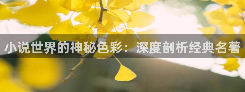 起点小说数据查询