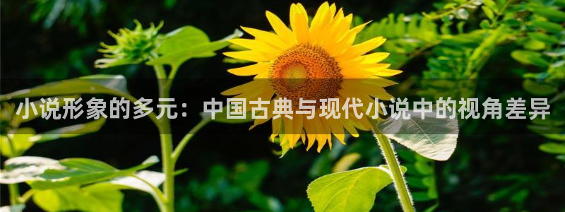 起点小说完本排行榜