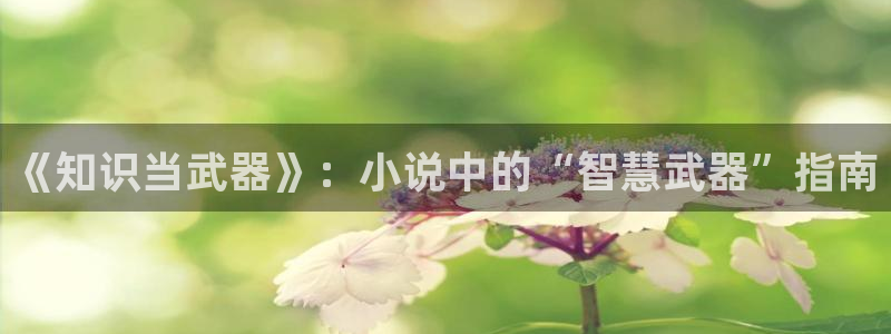 起点原神小说