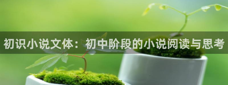 新起点文学网