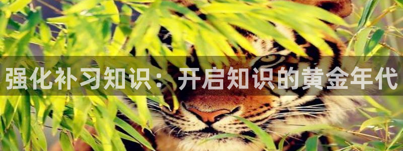 起点小说怎么看下载的小说