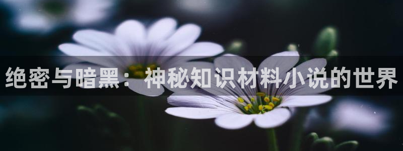 起点小说贵