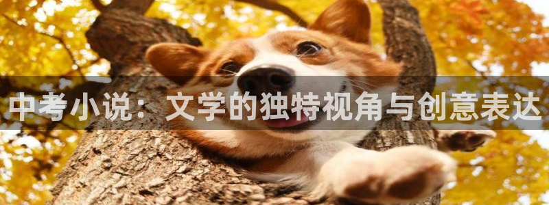 起点的小说免费