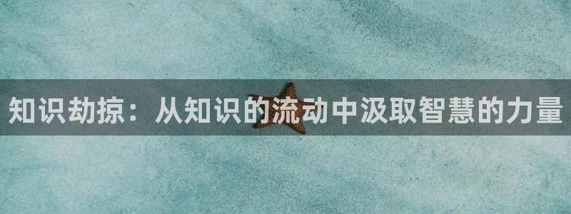 起点小书网：知识劫掠：从知识的流动中汲取智慧的力量