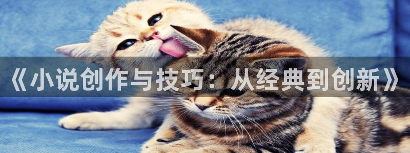 哪个软件可以免费看起点小说：《小说创作与技巧：从经典到创新》