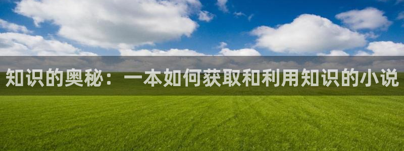 起点缓存的小说在哪儿：知识的奥秘：一本如何获取和利用知识的小说