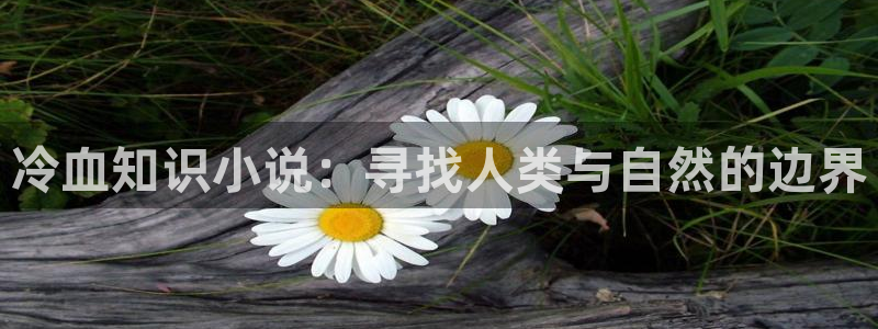 起点可以下载小说吗?