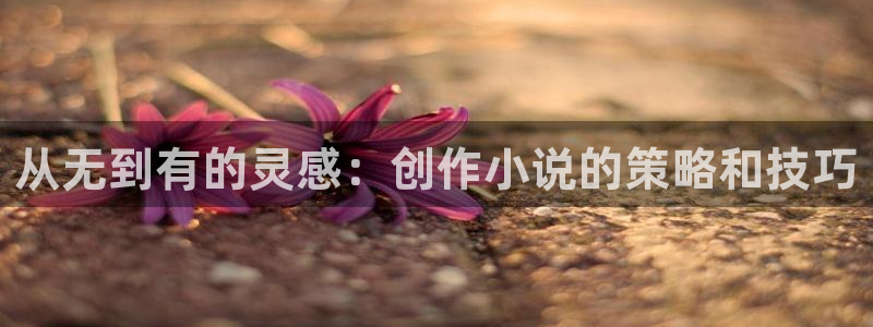 起点中文网以前的小说：从无到有的灵感：创作小说的策略和技巧
