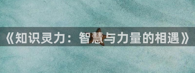 起点没有免费的小说吗