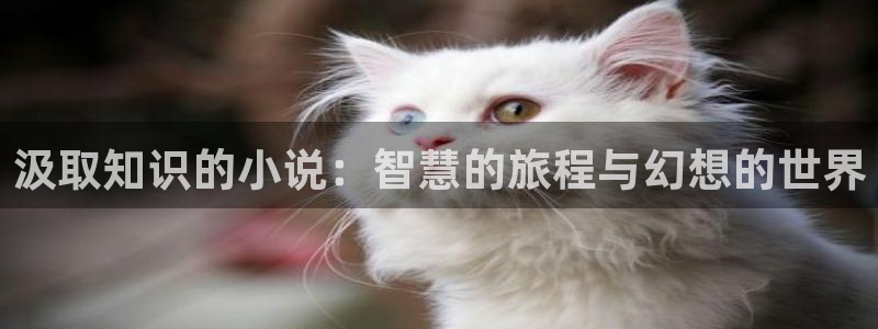 起点恐怖小说