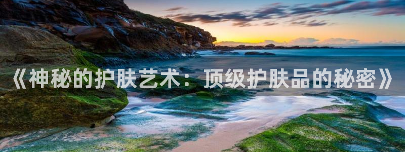 起点霸榜小说