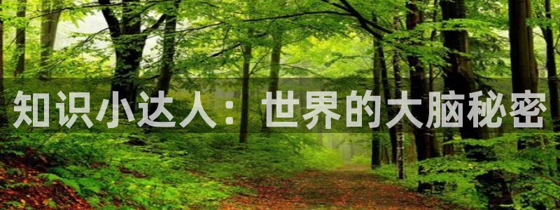 起点免费阅读小说