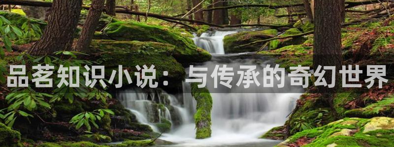 我从末世开始无敌起点中文网