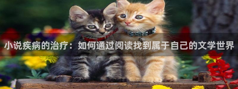 万古之王起点中文网