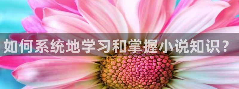 将夜起点小说：如何系统地学习和掌握小说知识？