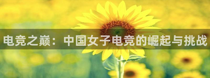 起点小说电脑版下载：电竞之巅：中国女子电竞的崛起与挑战